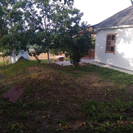 Dmitrenki Соколине Гніздоヴィラ エクステリア 写真